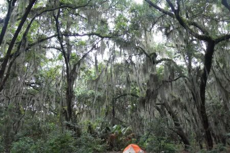 Hickory Hill Campground