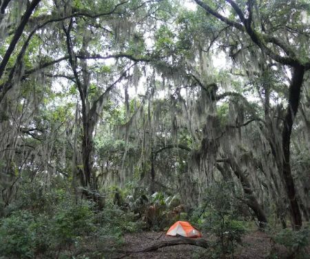 Hickory Hill Campground