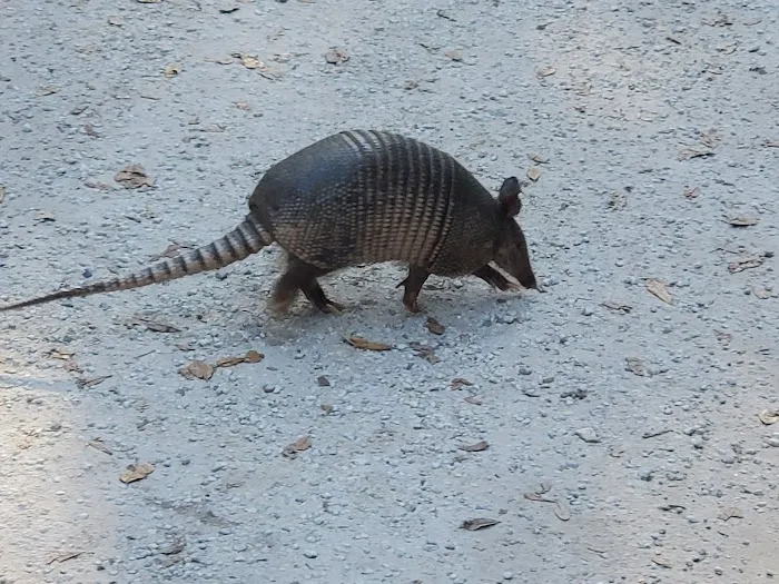 Fort Clinch Amelia River Campground 8