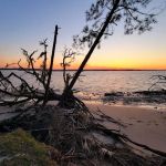 Brickhill Bluff Wilderness Campsite