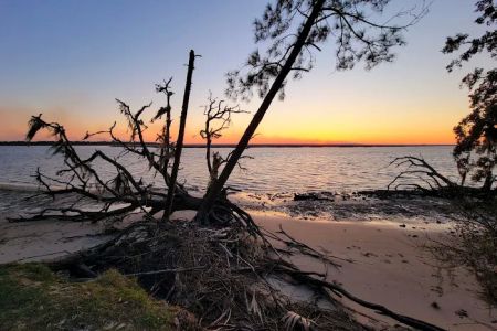 Brickhill Bluff Wilderness Campsite