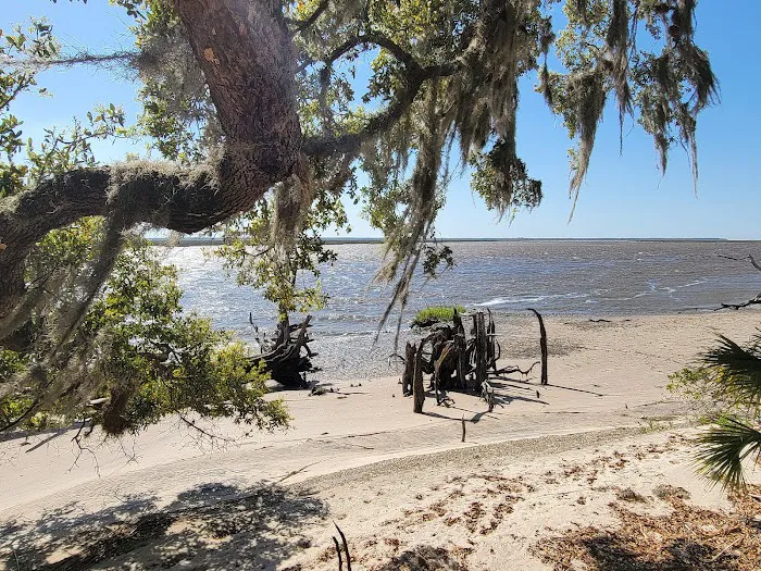 Brickhill Bluff Wilderness Campsite 6