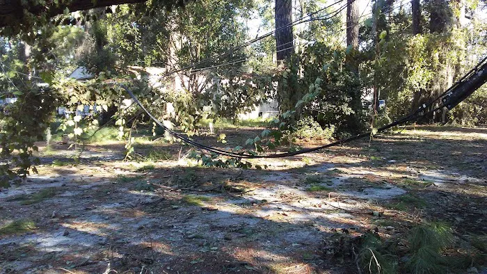 Driftwood Mobile Home Park 6