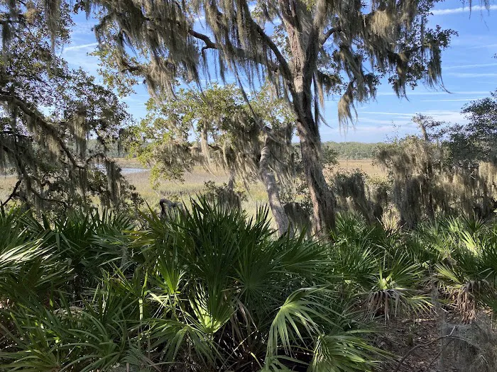 Little Talbot Island Campgrounds 4