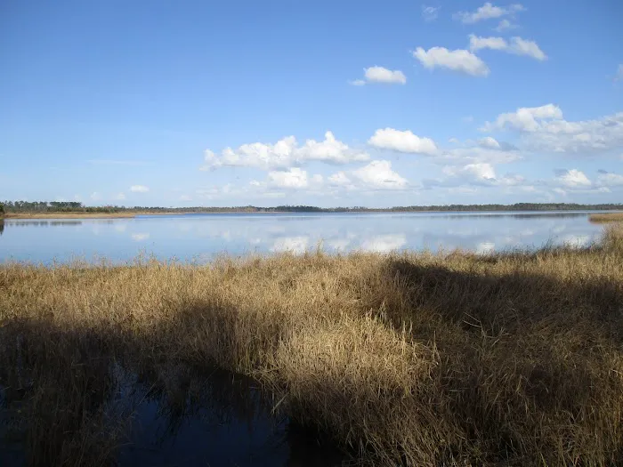 Little Talbot Island Campgrounds 6
