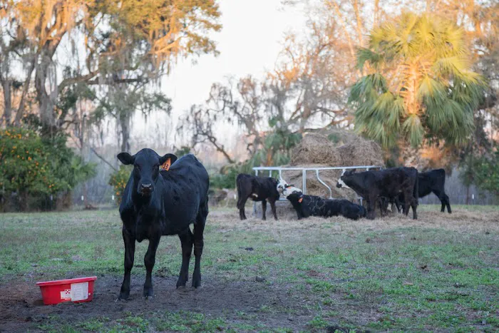 Wonderfield Farm & Retreat 9