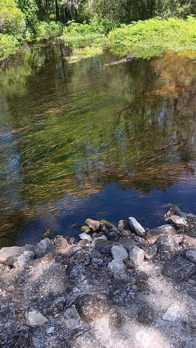 Lake Panasoffkee 7