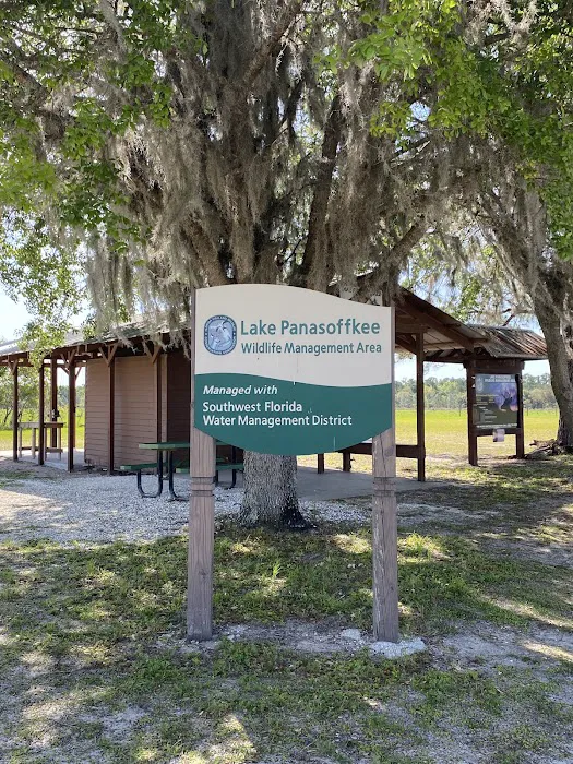 Lake Panasoffkee 10