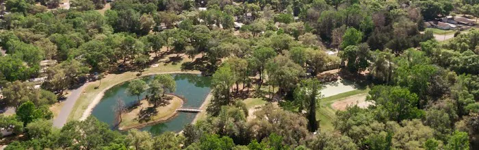 Bedrock Singing Forest 10