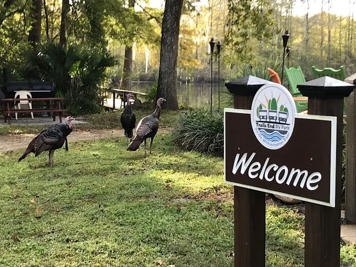 Trails End RV Park 5
