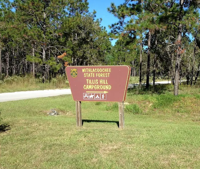 Tillis Hill Recreation Area 3