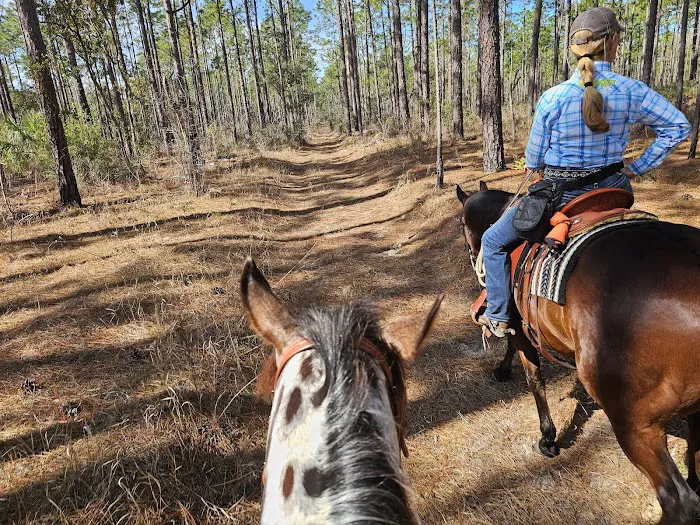 Tillis Hill Recreation Area 6