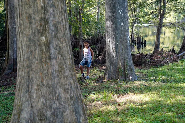 55+ Wynnhaven on the Withlacoochee LLC 2