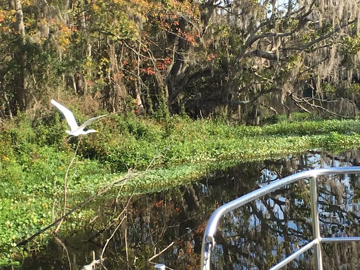 55+ Wynnhaven on the Withlacoochee LLC 9