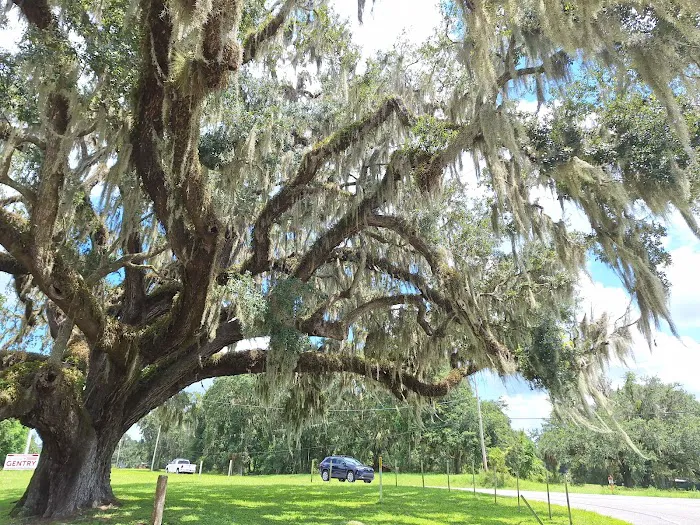 St Johns River Camp Ground Inc 7
