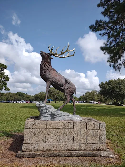 Florida Elks Youth Camp 6