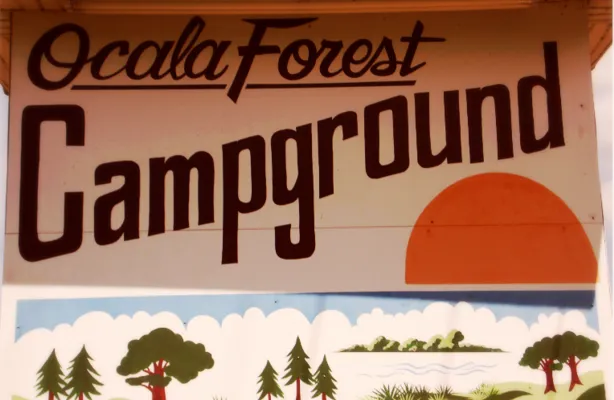 Ocala Forest Campground 3