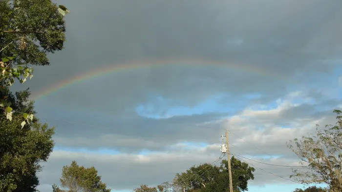 Ocala Forest Campground 7