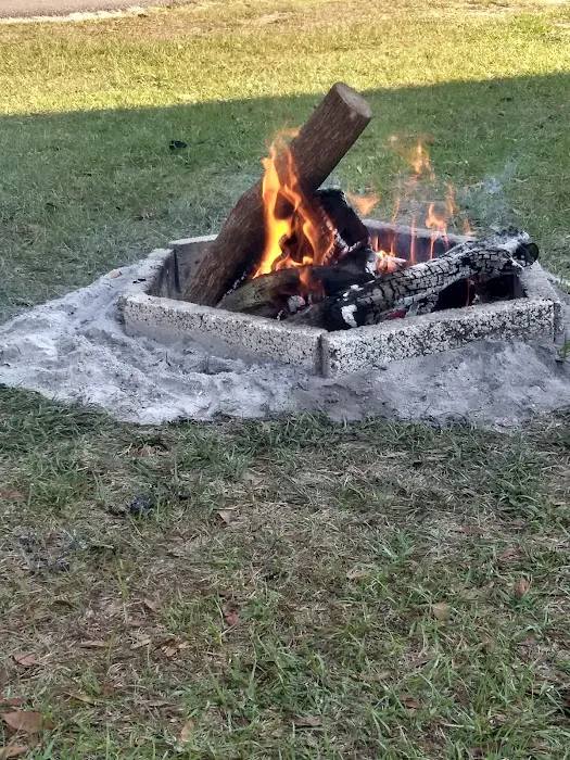 Ocala Forest Campground 9