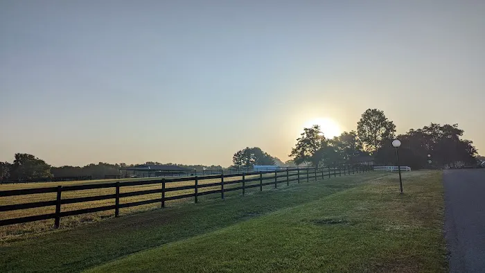 Grand Oaks RV Resort 5