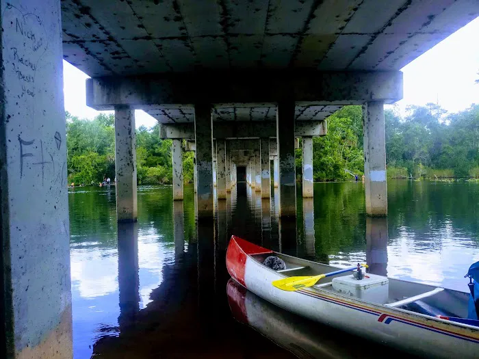 Alexander Springs Recreation Area 3