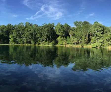 Alexander Springs Recreation Area