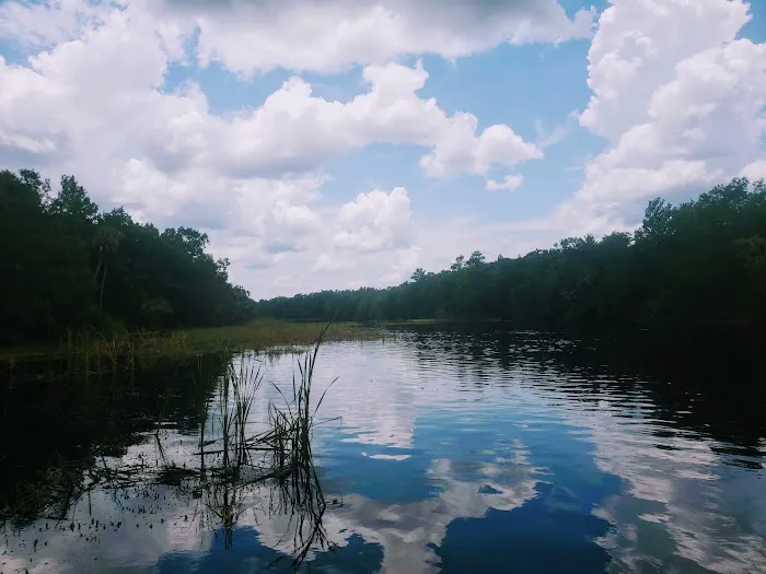 Alexander Springs Recreation Area 2