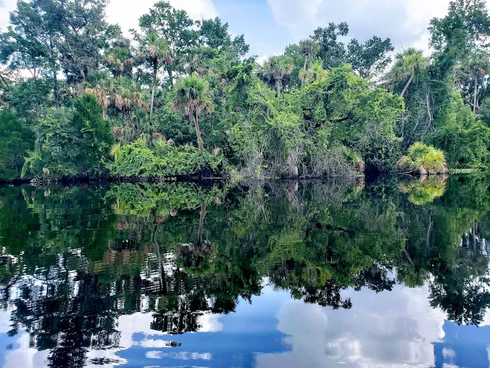 Alexander Springs Recreation Area 4