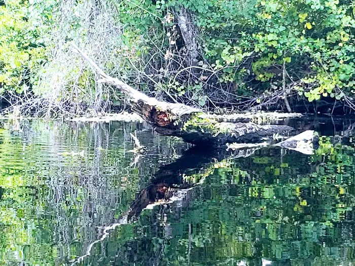 Alexander Springs Recreation Area 5