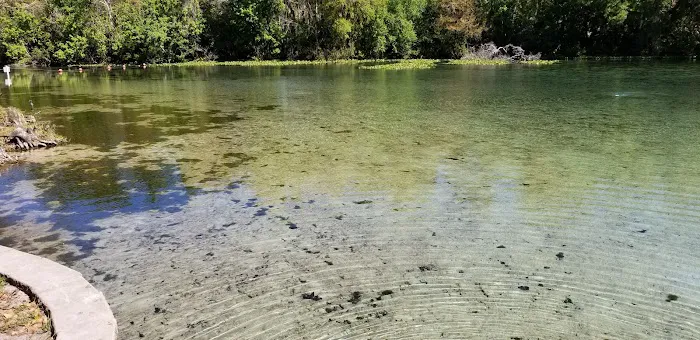Alexander Springs Recreation Area 8