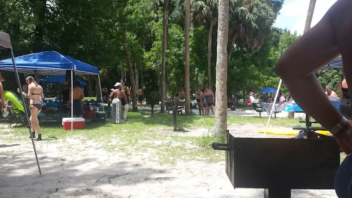 Alexander Springs Recreation Area 10