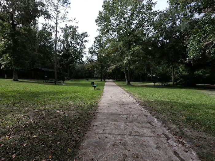 Alexander Springs Camping Area 4