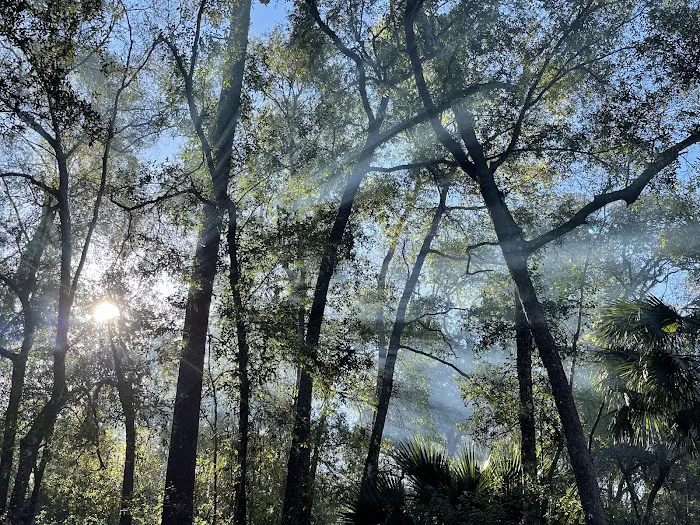Alexander Springs Camping Area 7