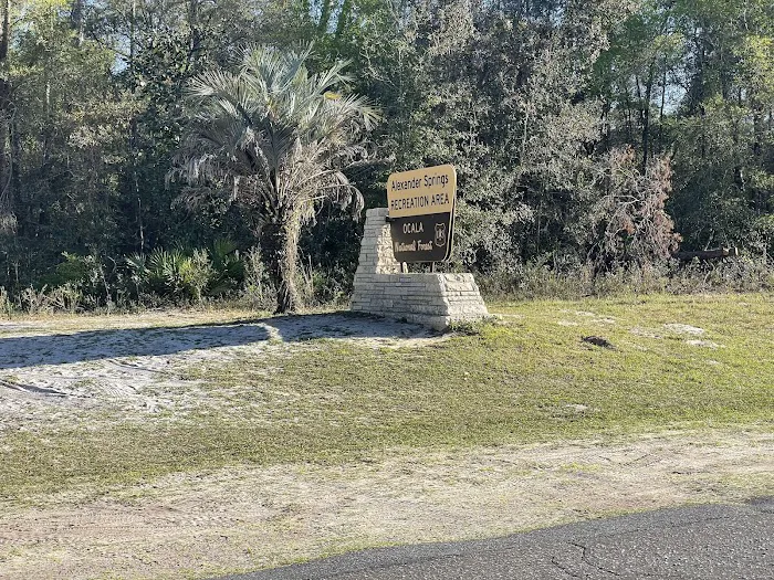 Alexander Springs Camping Area 6