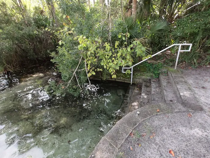 Alexander Springs Camping Area 8