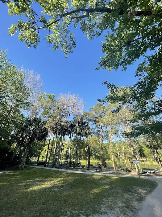 Alexander Springs Camping Area 10