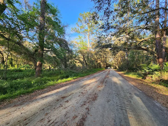 Lake Dorr Campground 1