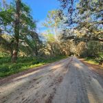Lake Dorr Campground
