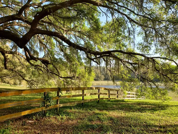 Fiddlers Green RV Ranch 5