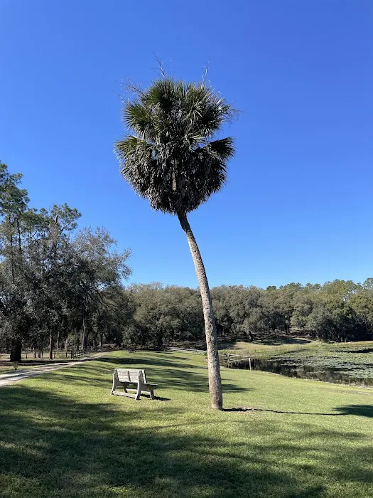Fiddlers Green RV Ranch 8