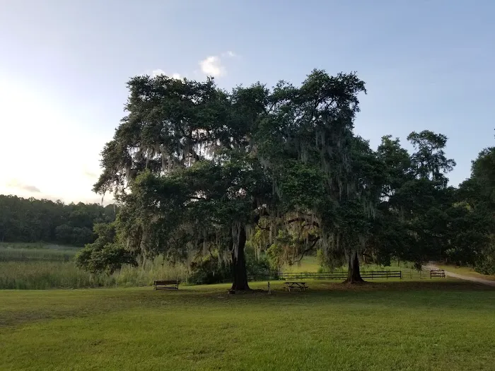 Fiddlers Green RV Ranch 6
