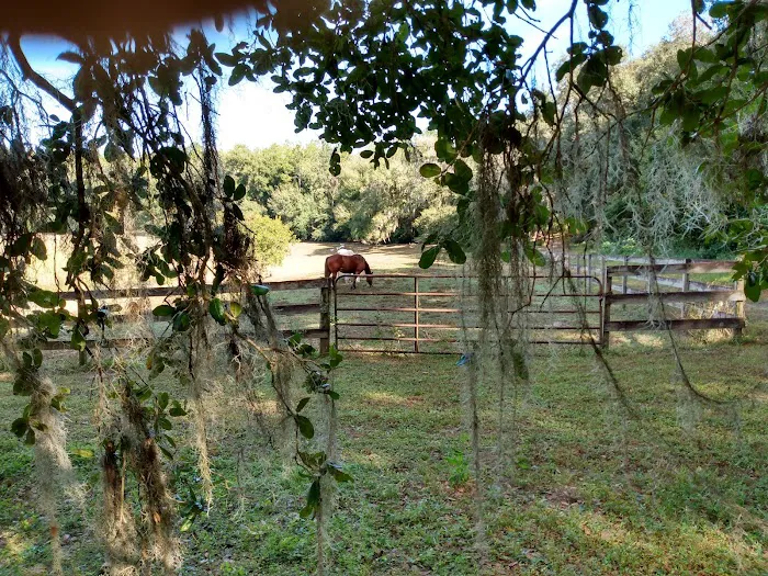 Fiddlers Green RV Ranch 9