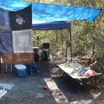 Bluff Landing Campground