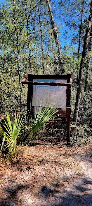 Bluff Landing Campground 5