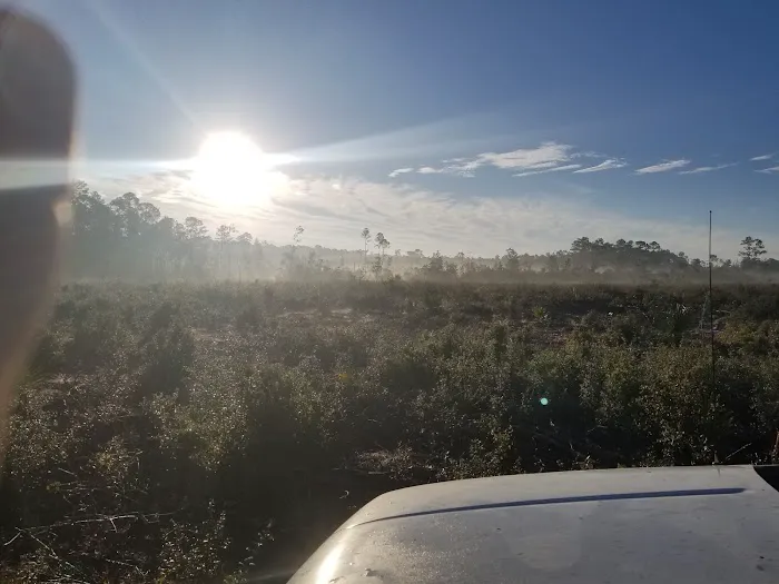 Bluff Landing Campground 8