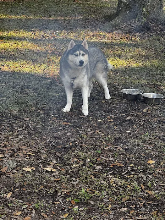 River Road Campground 6