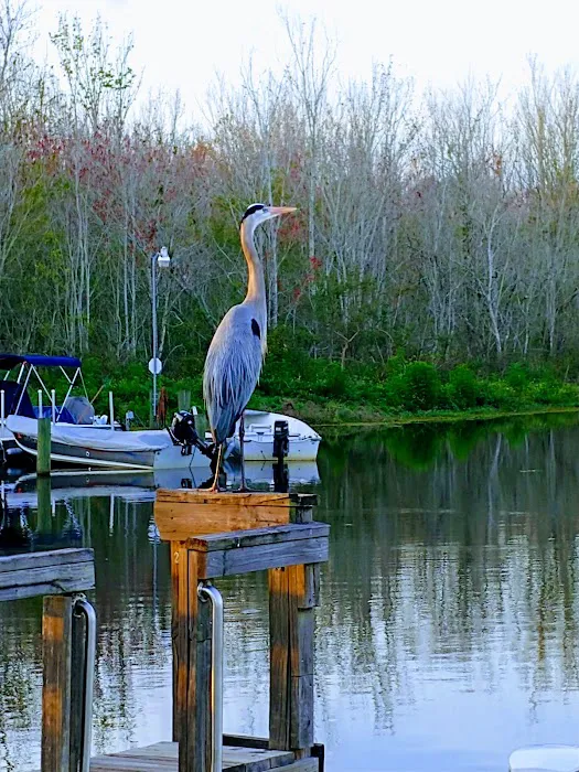 Palm Shores Mobile Home & RV 3