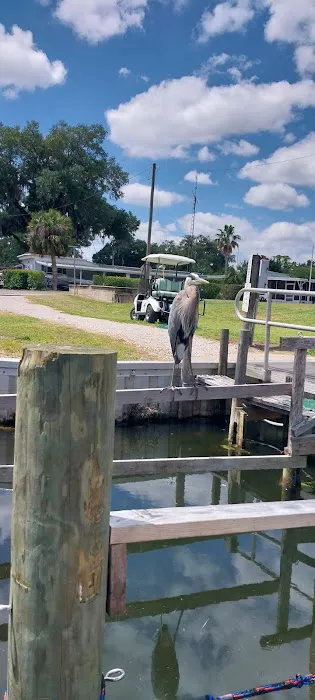 Palm Shores Mobile Home & RV 4