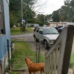 Forest Valley Mobile Home Park