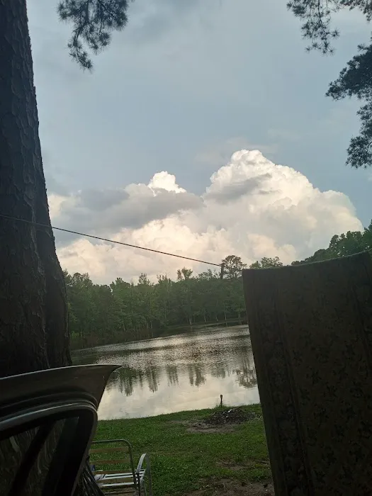 Briscoe Trailer Park 1